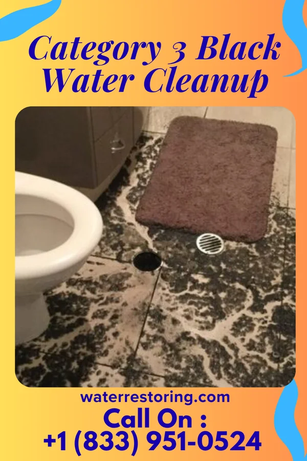 Category 3 Black Water Cleanup in Boston Heights, OH