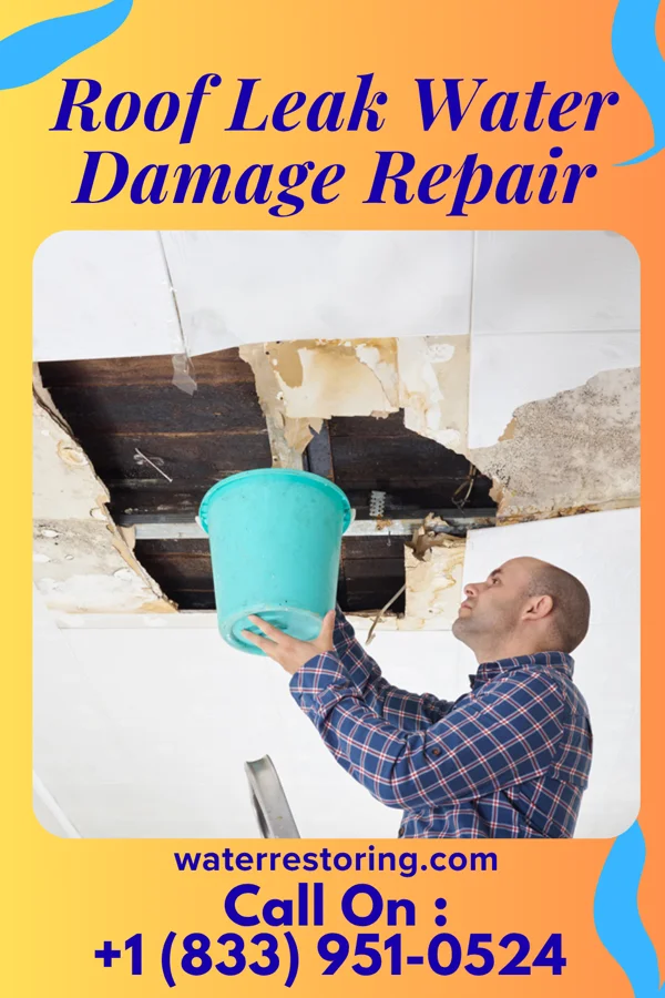 Roof Leak Water Damage Repair in Boston Heights, OH