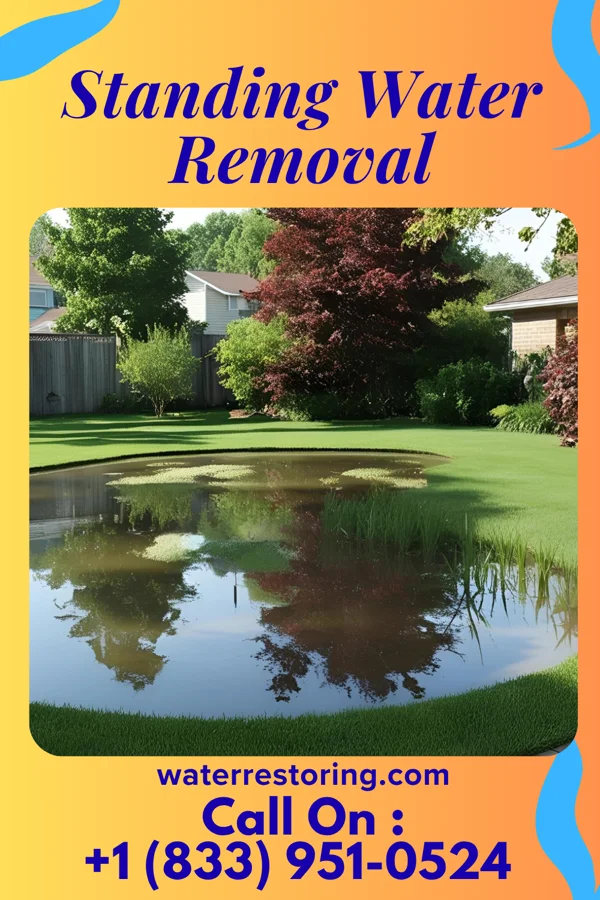 Standing Water Removal in Boston Heights, OH